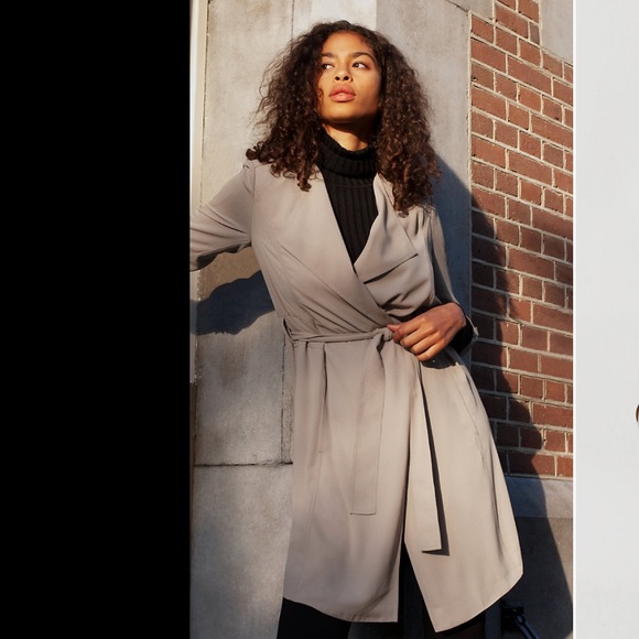 Aritzia Babaton Flowy Trench Coat 